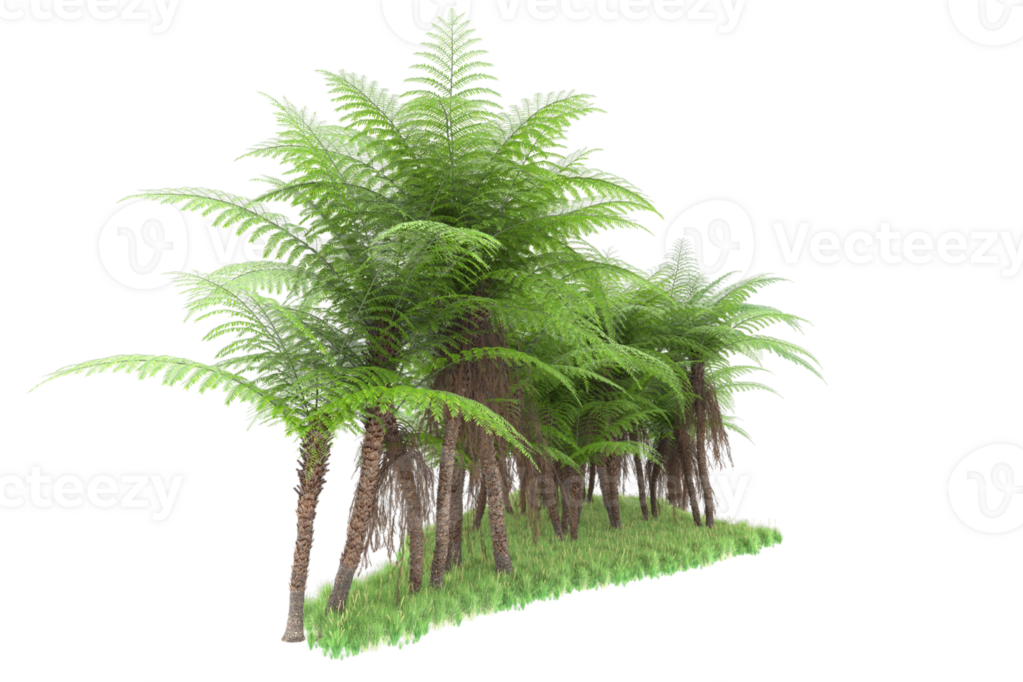 Realistic forest isolated on transparent background. 3d rendering - illustration png