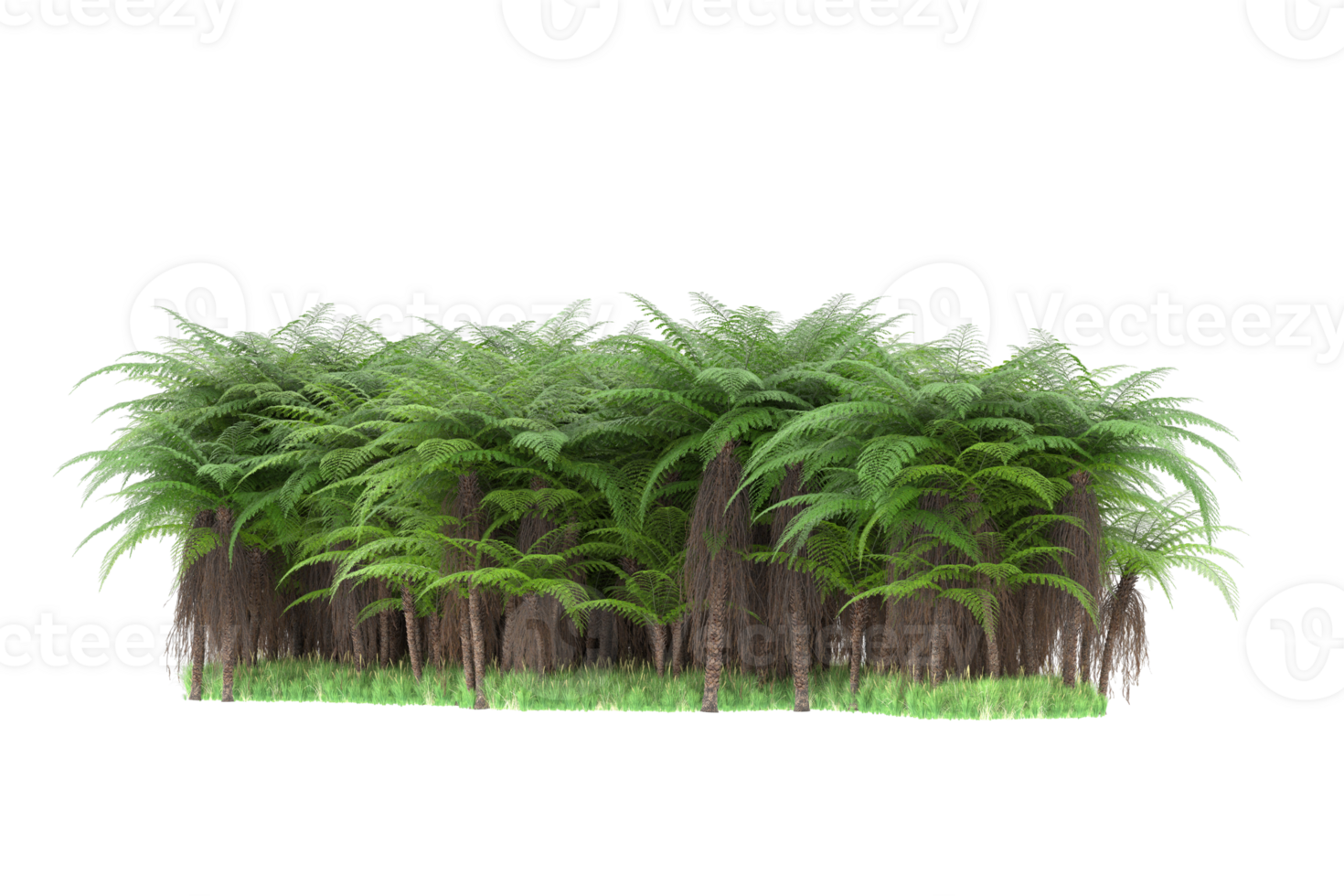 Realistic forest isolated on transparent background. 3d rendering - illustration png