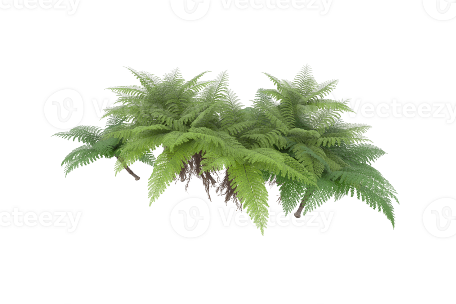 Realistic forest isolated on transparent background. 3d rendering - illustration png