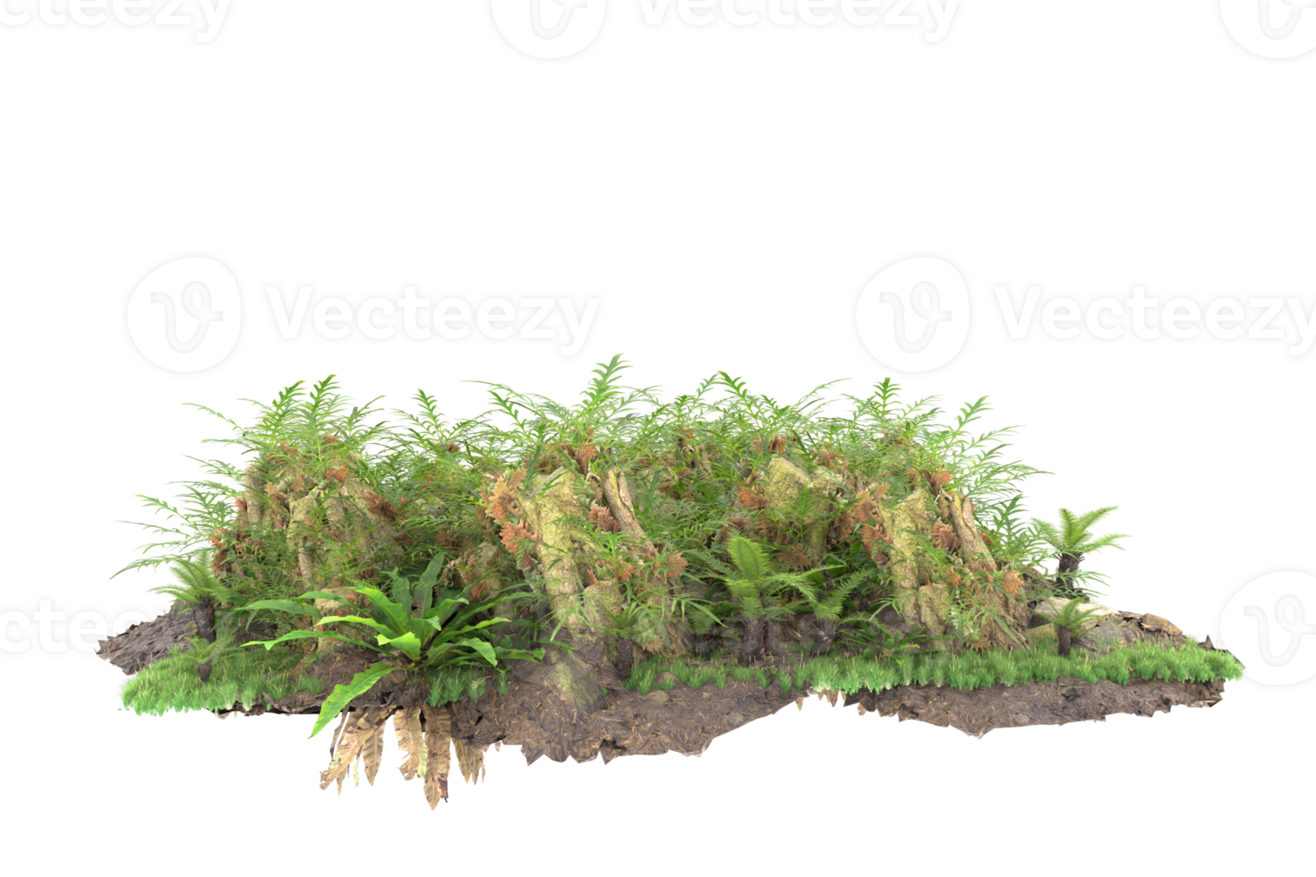 Realistic forest isolated on transparent background. 3d rendering - illustration png