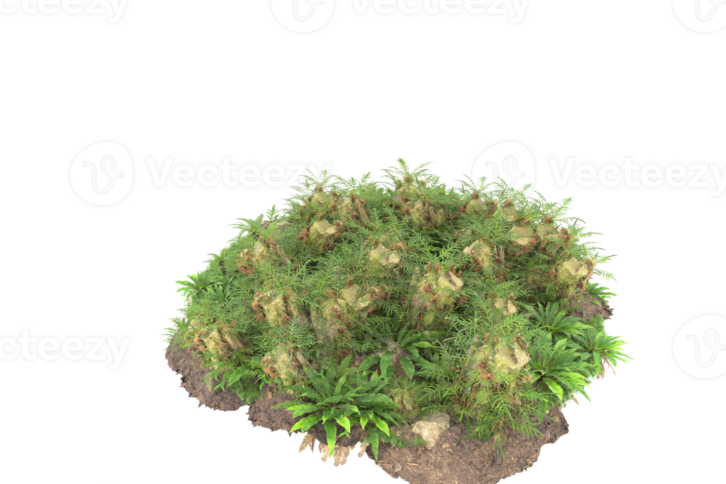 Realistic forest isolated on transparent background. 3d rendering - illustration png