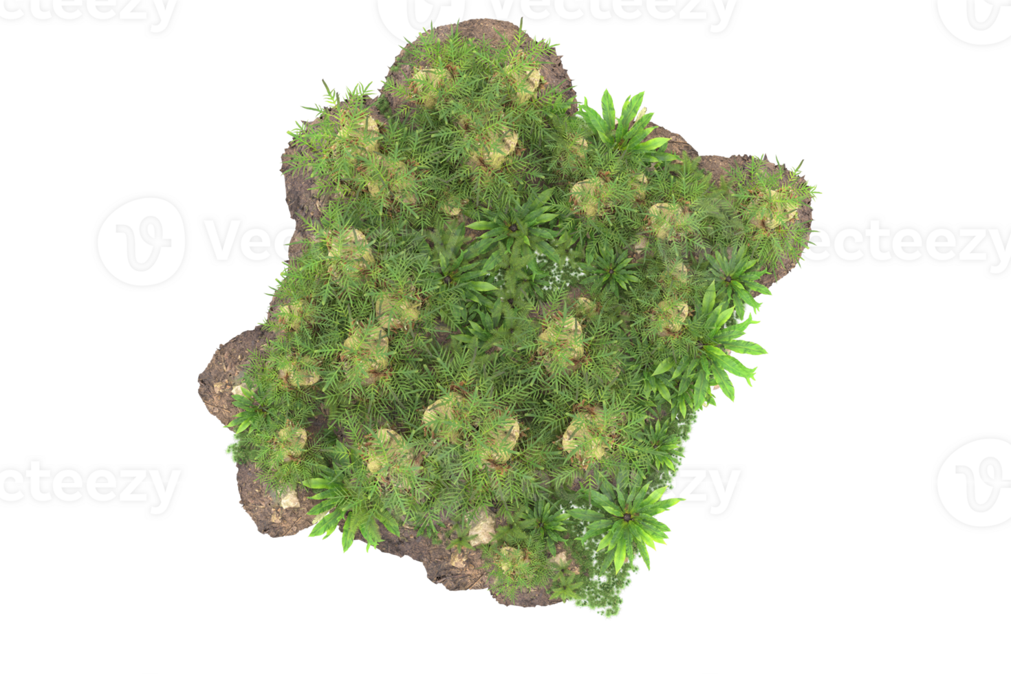 Realistic forest isolated on transparent background. 3d rendering - illustration png