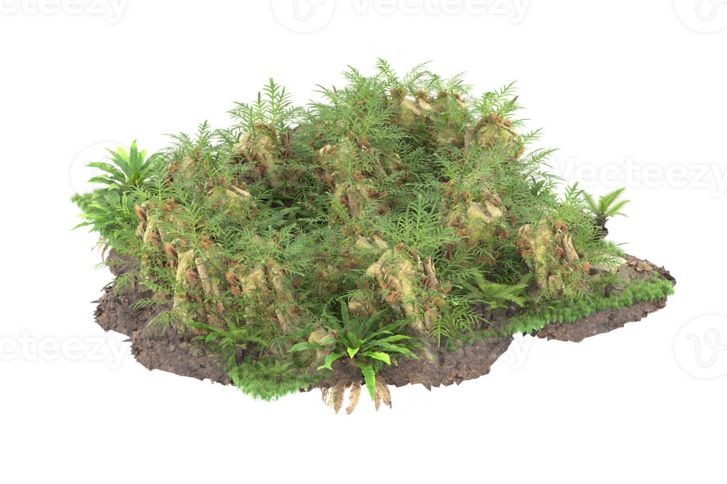 Realistic forest isolated on transparent background. 3d rendering - illustration png