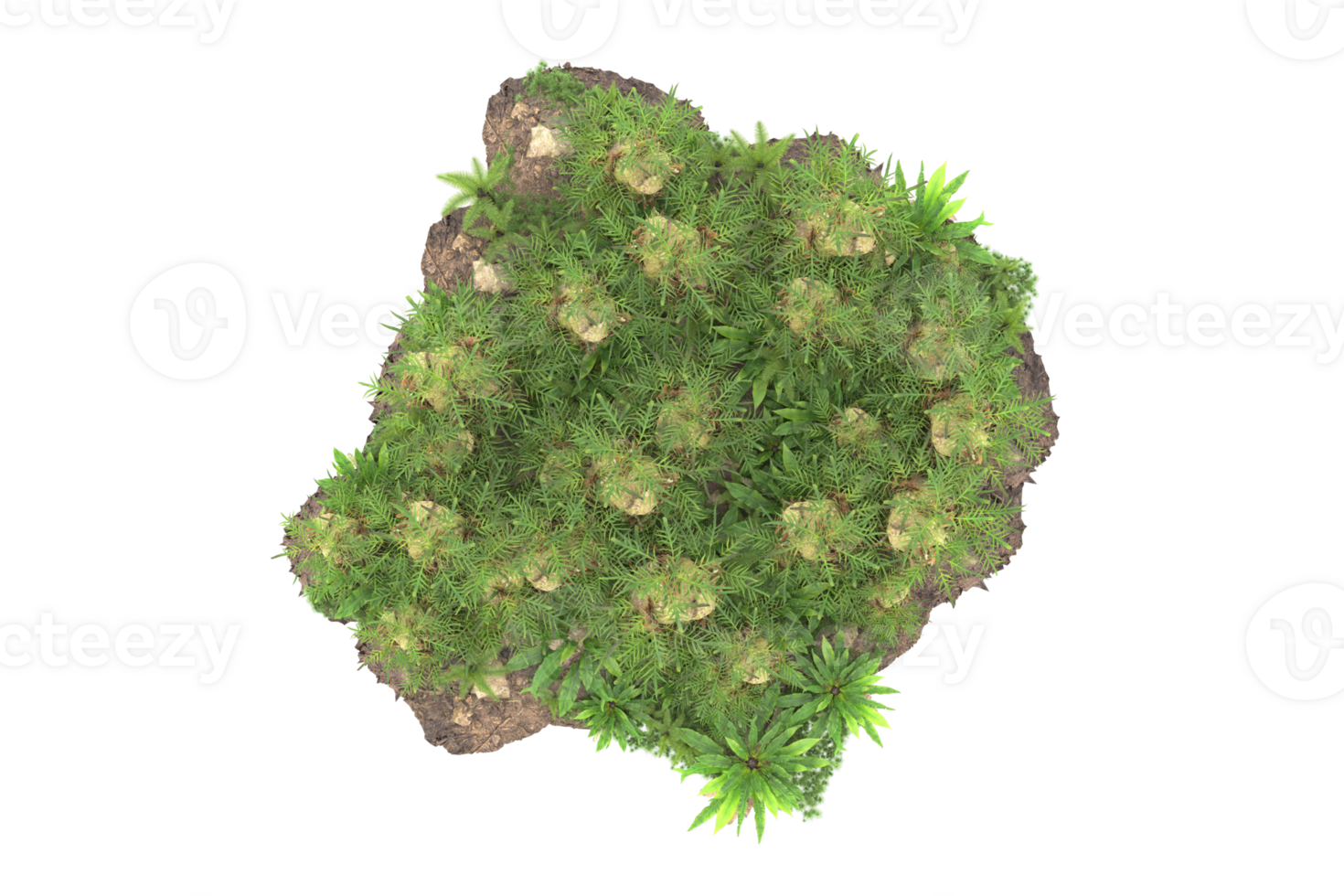 Realistic forest isolated on transparent background. 3d rendering - illustration png
