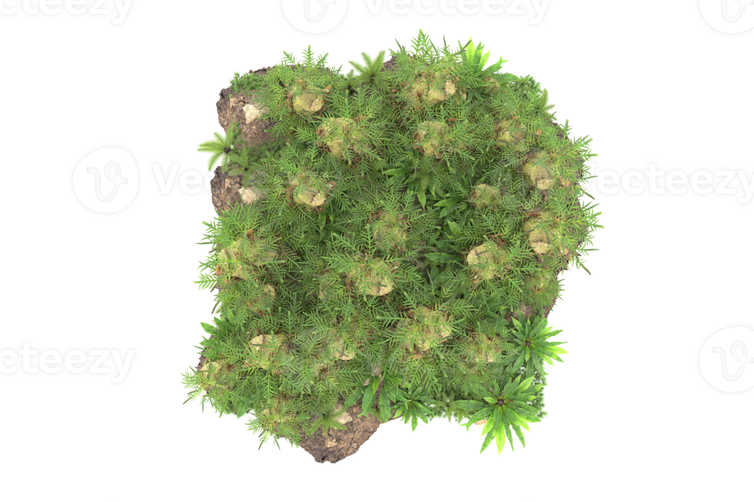 Realistic forest isolated on transparent background. 3d rendering - illustration png