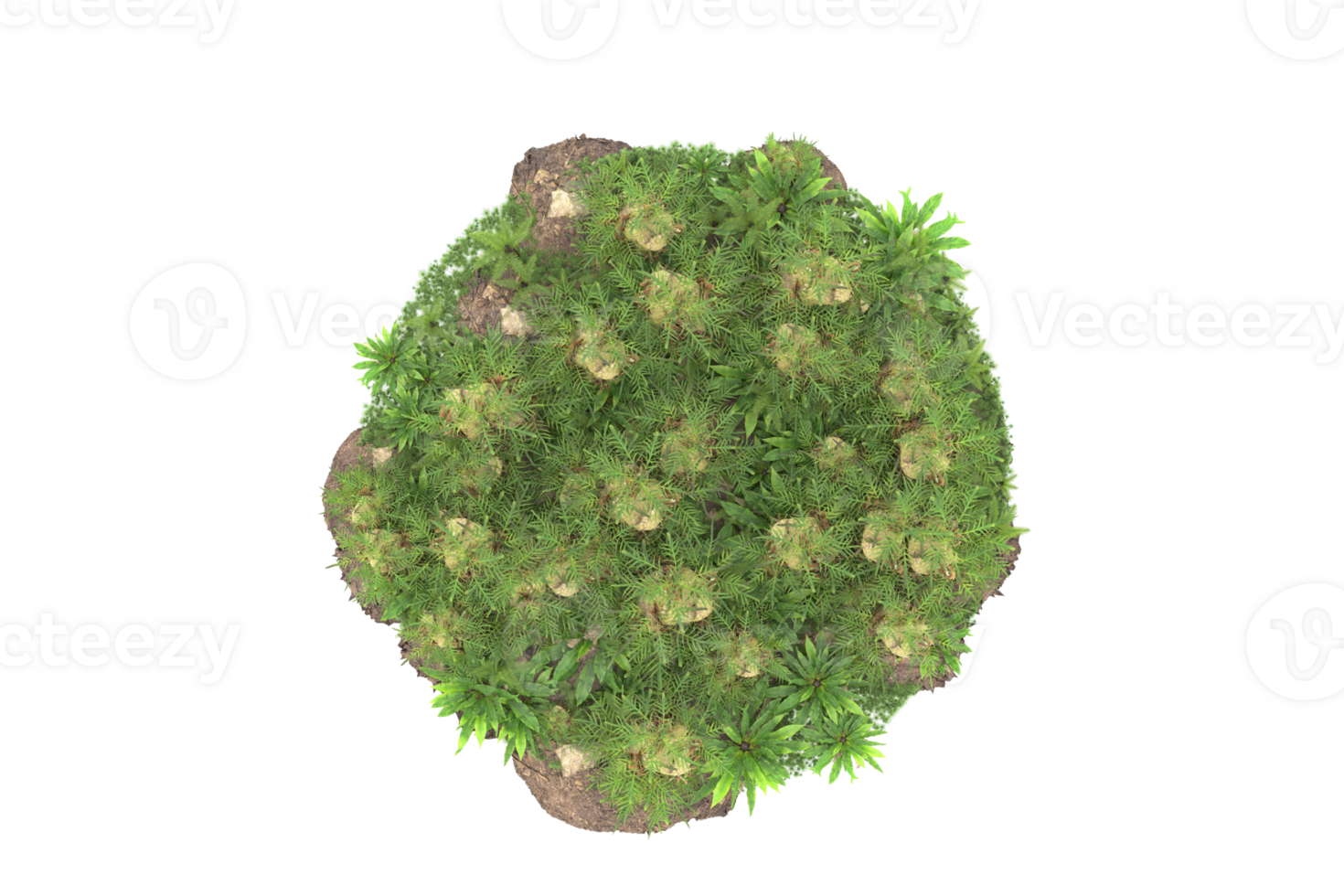 Realistic forest isolated on transparent background. 3d rendering - illustration png