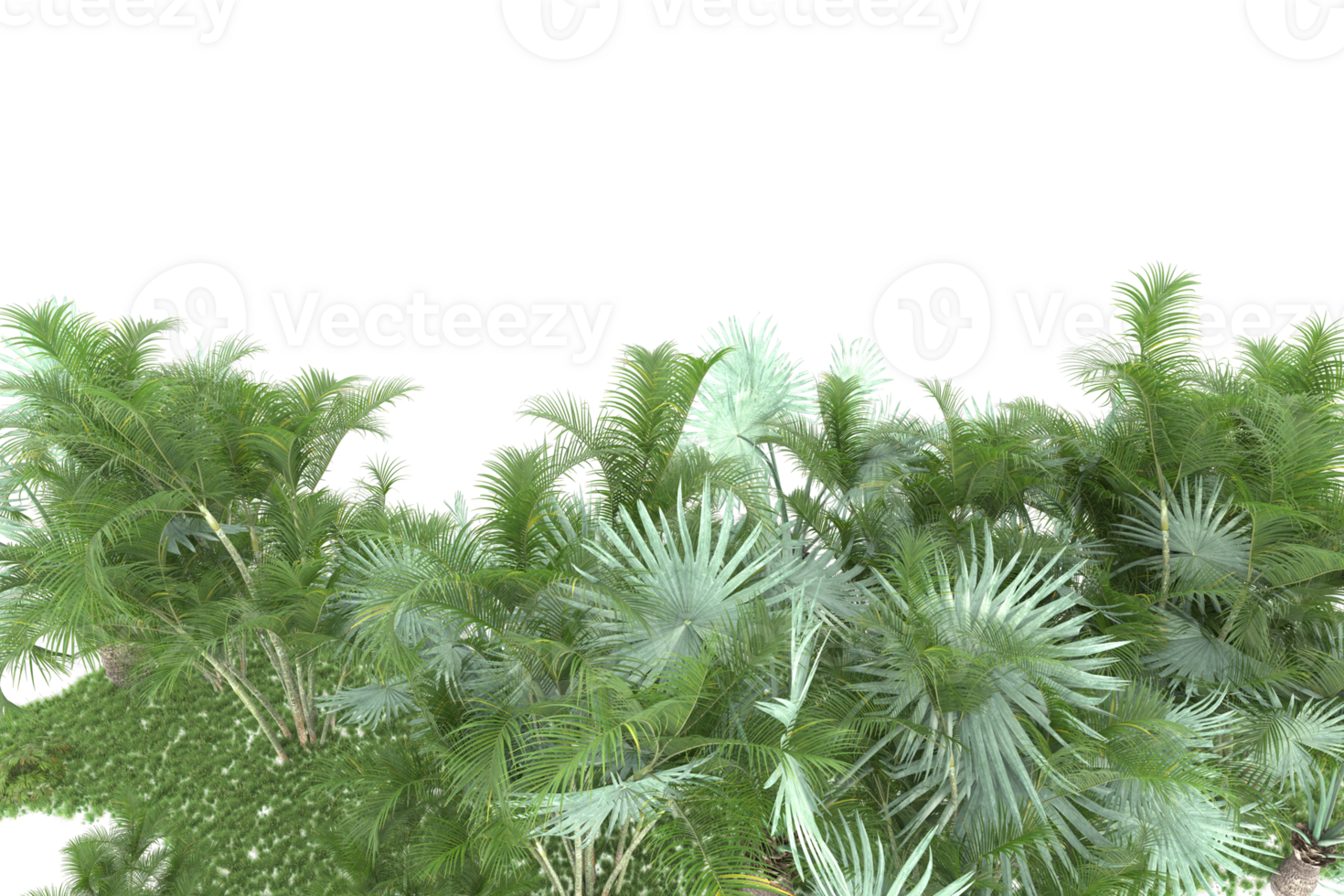 Realistic forest isolated on transparent background. 3d rendering - illustration png
