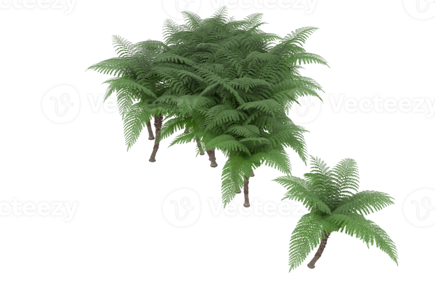 Realistic forest isolated on transparent background. 3d rendering - illustration png