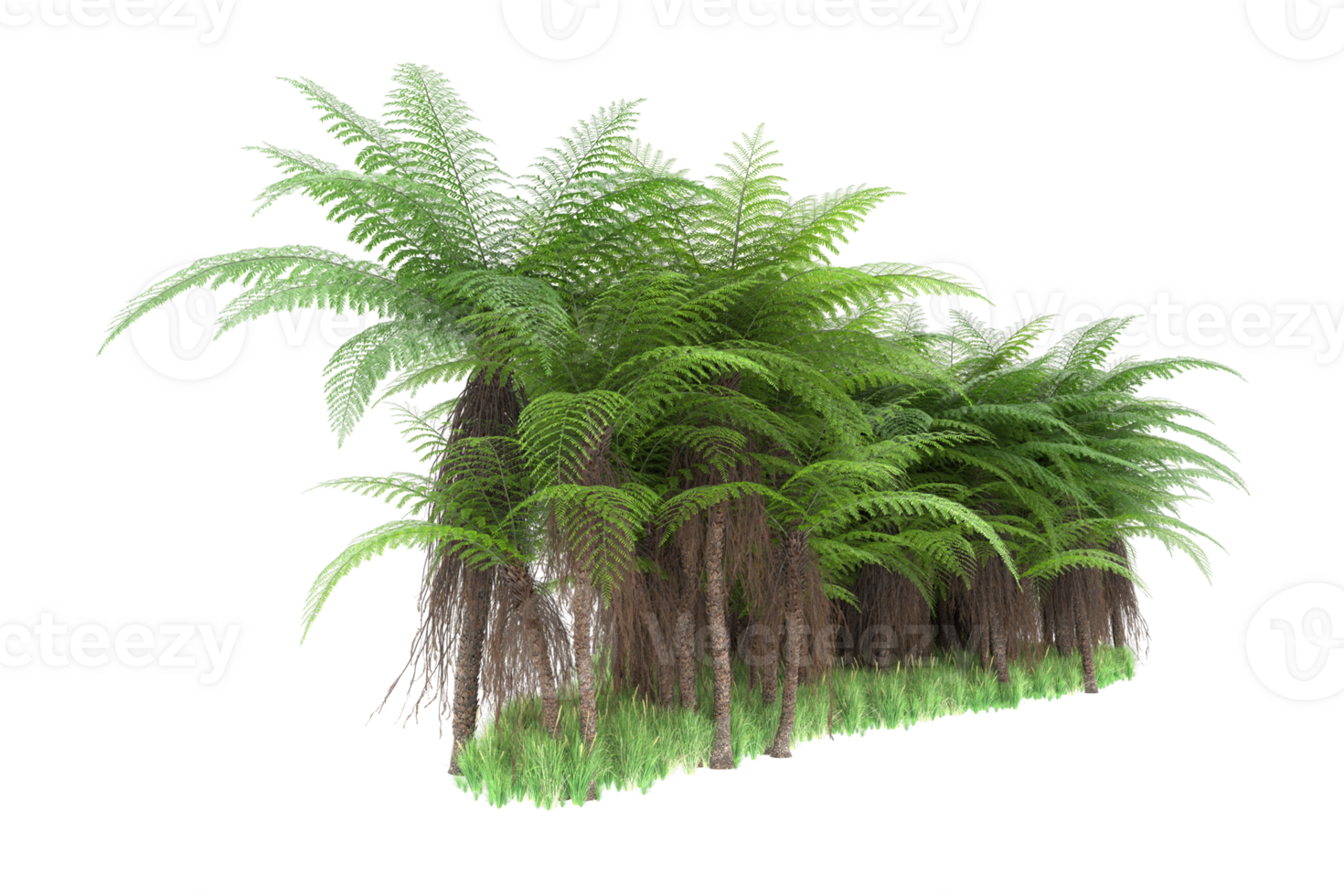 Realistic forest isolated on transparent background. 3d rendering - illustration png