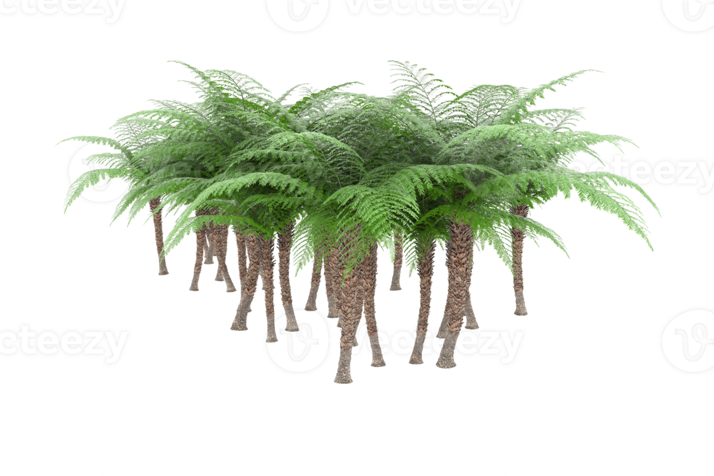 Realistic forest isolated on transparent background. 3d rendering - illustration png