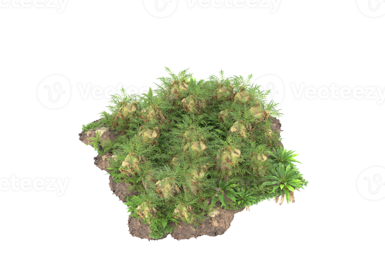 Realistic forest isolated on transparent background. 3d rendering - illustration png