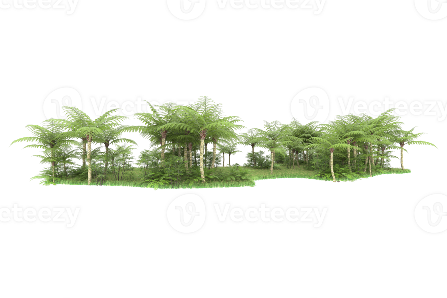 Realistic forest isolated on transparent background. 3d rendering - illustration png