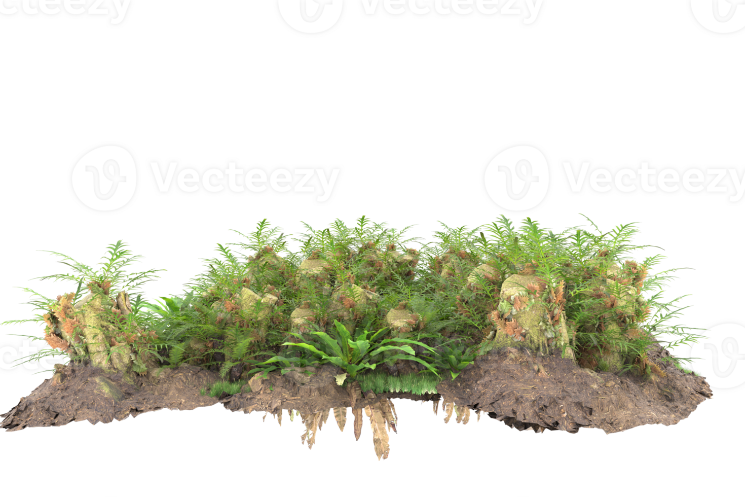 Realistic forest isolated on transparent background. 3d rendering - illustration png