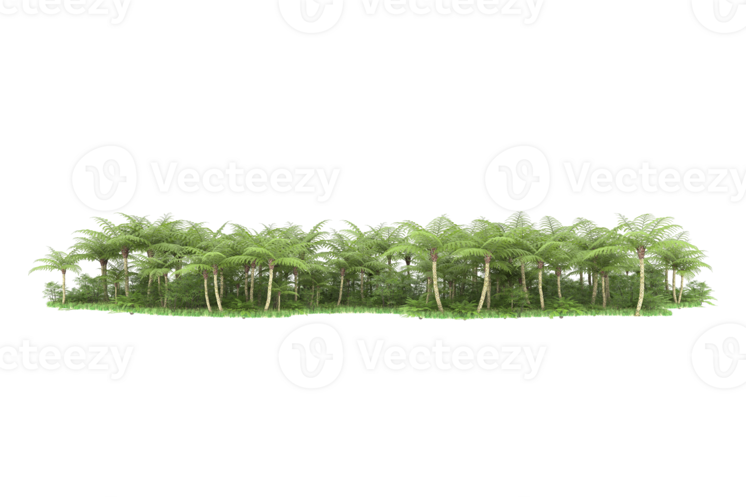 Realistic forest isolated on transparent background. 3d rendering - illustration png