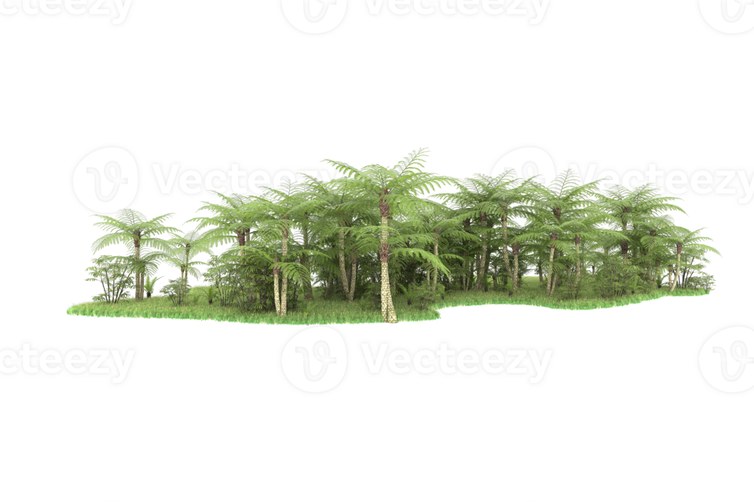 Realistic forest isolated on transparent background. 3d rendering - illustration png