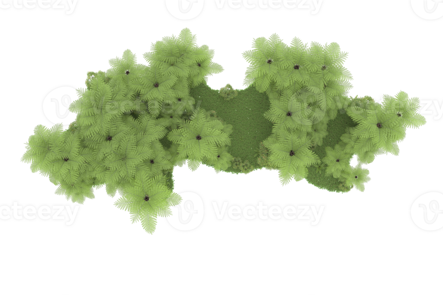 Realistic forest isolated on transparent background. 3d rendering - illustration png