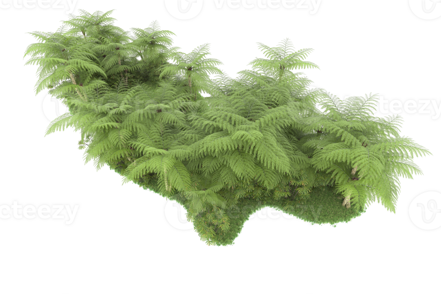 Realistic forest isolated on transparent background. 3d rendering - illustration png