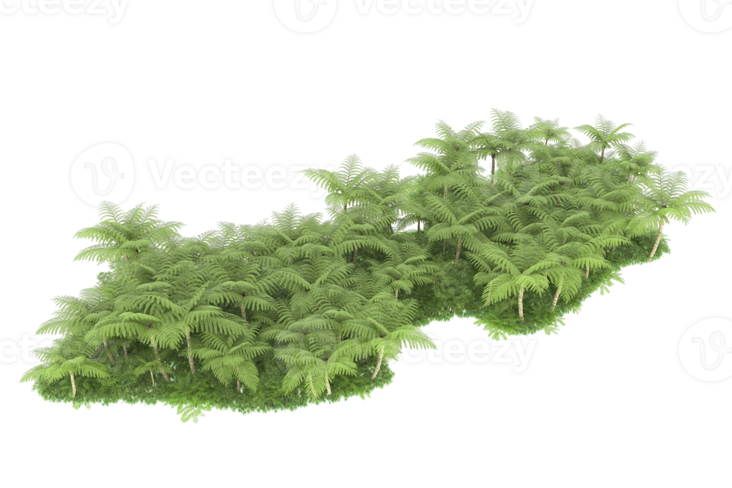 Realistic forest isolated on transparent background. 3d rendering - illustration png