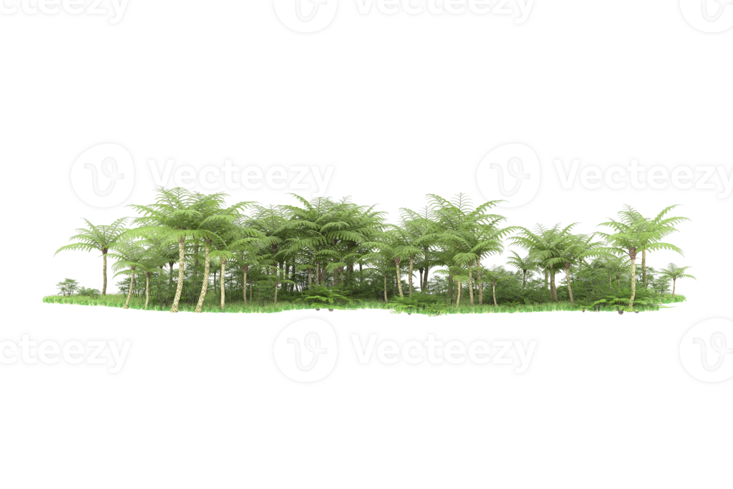 Realistic forest isolated on transparent background. 3d rendering - illustration png