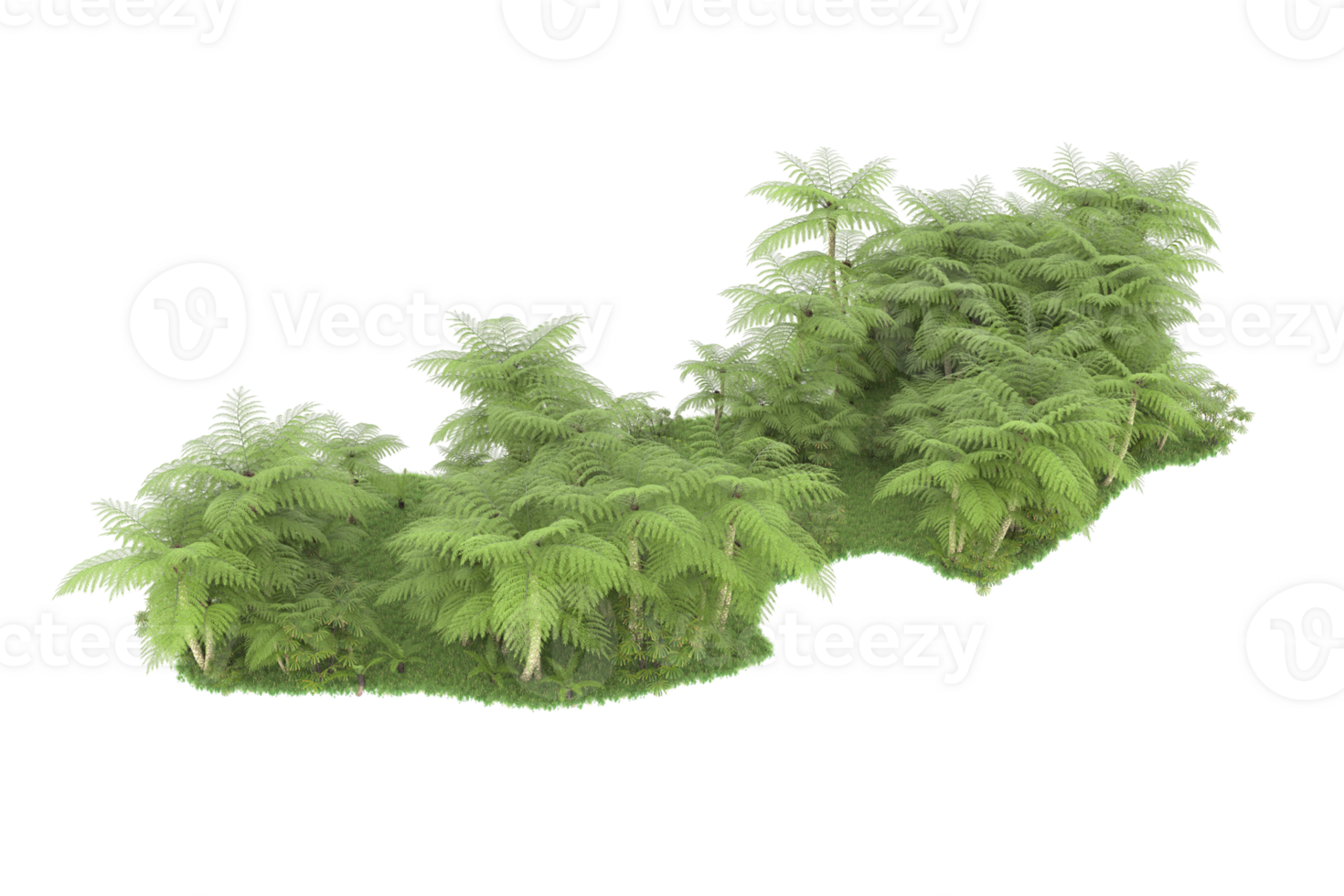 Realistic forest isolated on transparent background. 3d rendering - illustration png