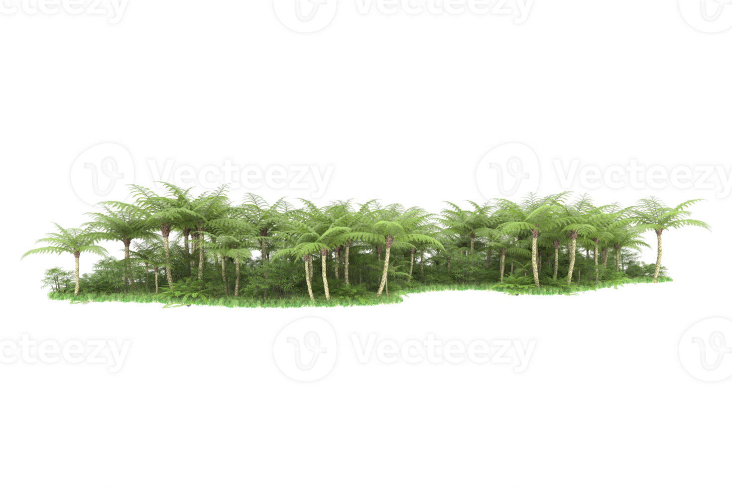 Realistic forest isolated on transparent background. 3d rendering - illustration png