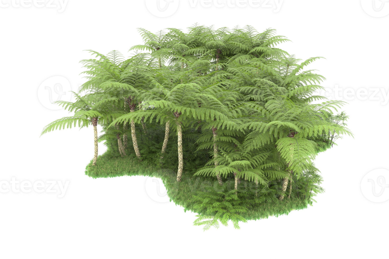 Realistic forest isolated on transparent background. 3d rendering - illustration png