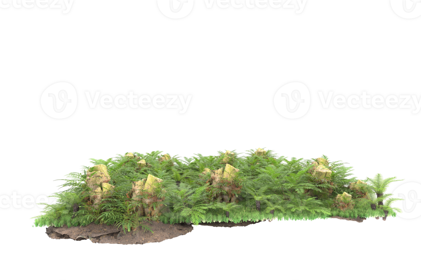 Realistic forest isolated on transparent background. 3d rendering - illustration png