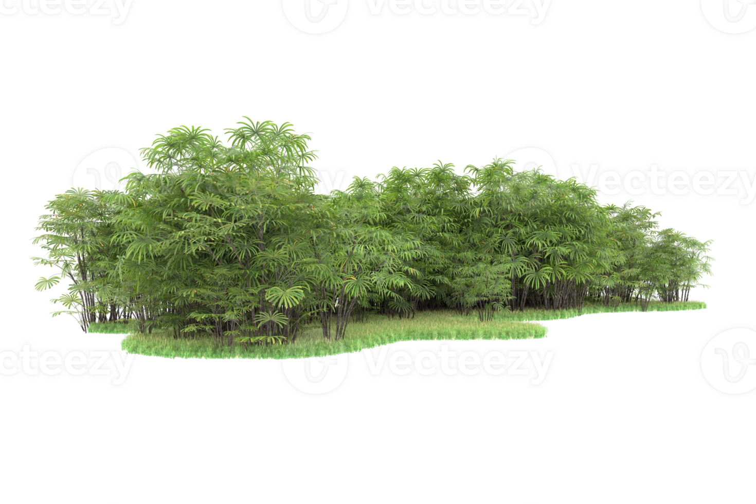 Realistic forest isolated on transparent background. 3d rendering - illustration png