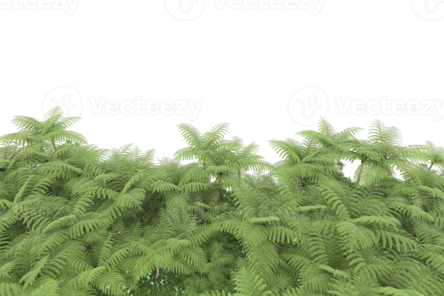 Realistic forest isolated on transparent background. 3d rendering - illustration png