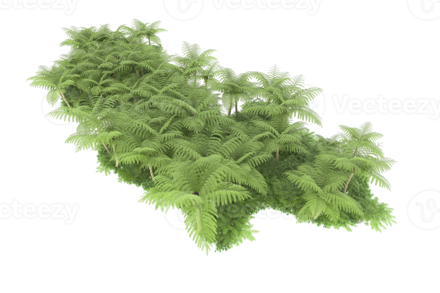 Realistic forest isolated on transparent background. 3d rendering - illustration png