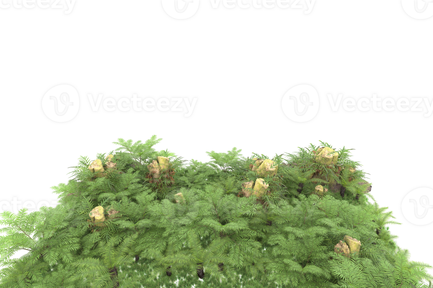 Realistic forest isolated on transparent background. 3d rendering - illustration png