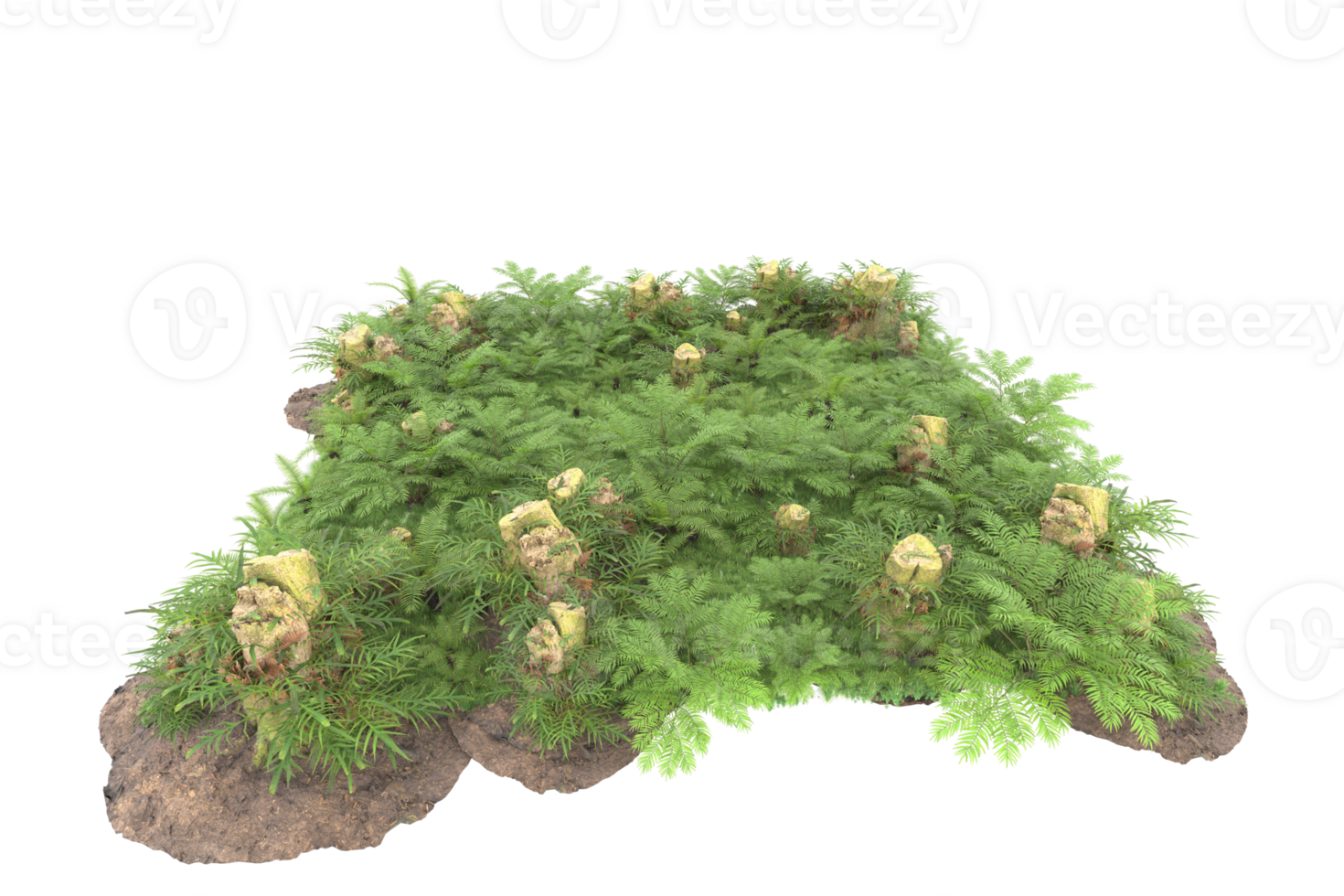 Realistic forest isolated on transparent background. 3d rendering - illustration png