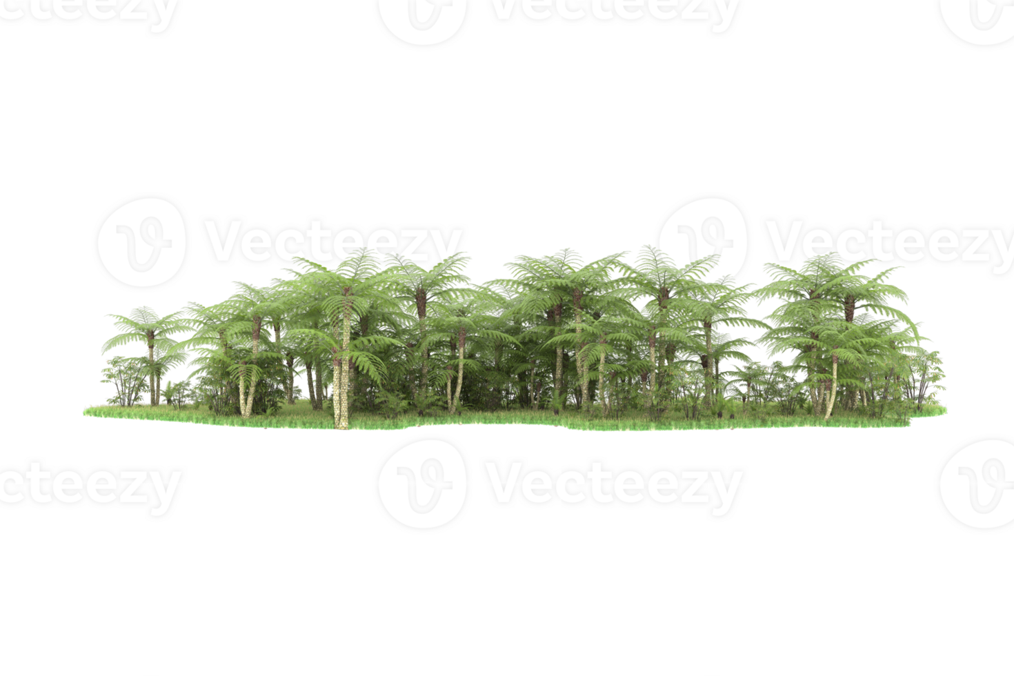 Realistic forest isolated on transparent background. 3d rendering - illustration png