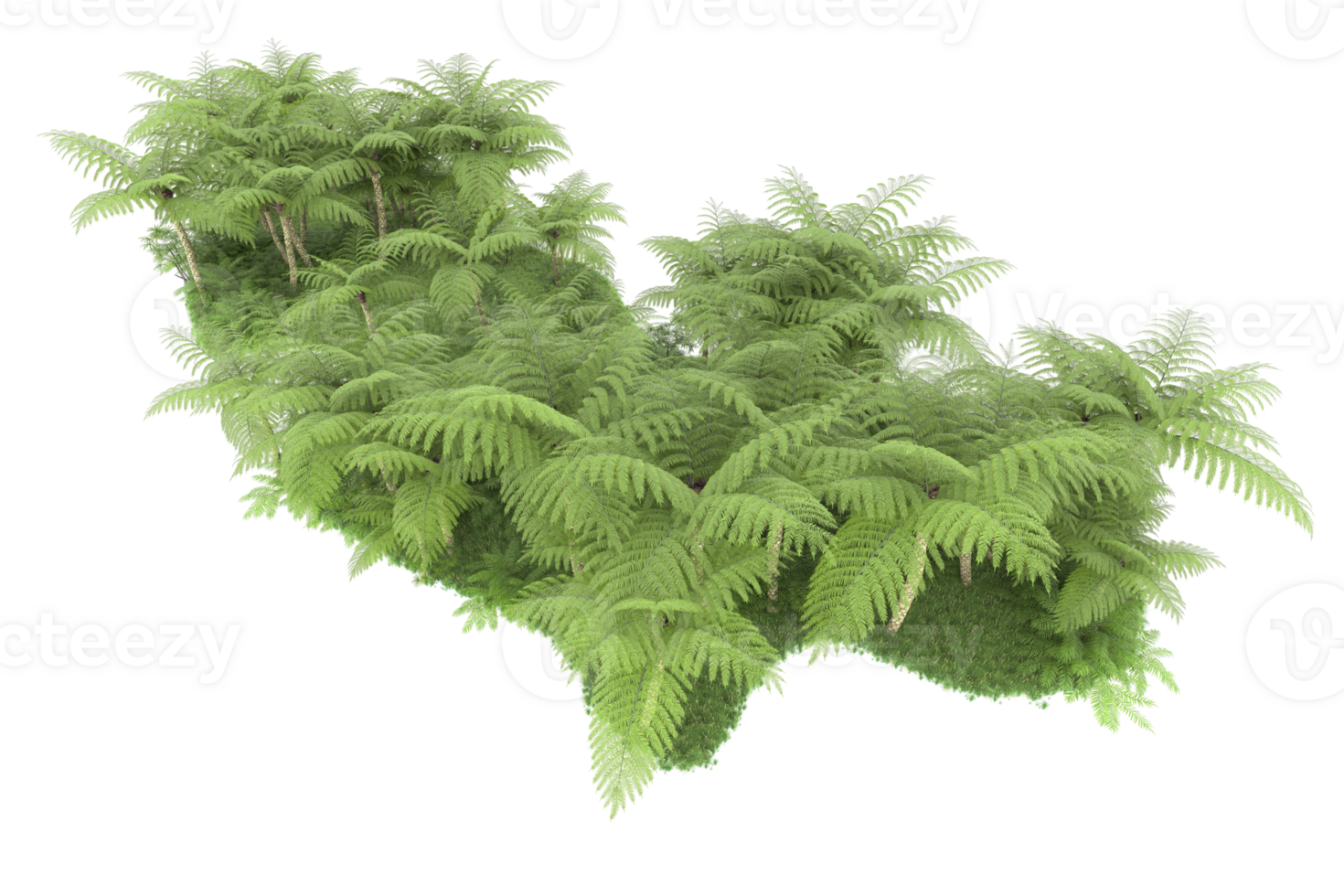 Realistic forest isolated on transparent background. 3d rendering - illustration png