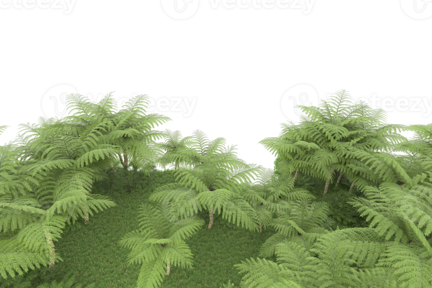 Realistic forest isolated on transparent background. 3d rendering - illustration png