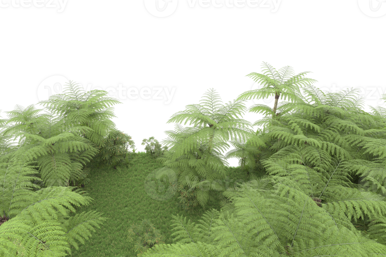 Realistic forest isolated on transparent background. 3d rendering - illustration png