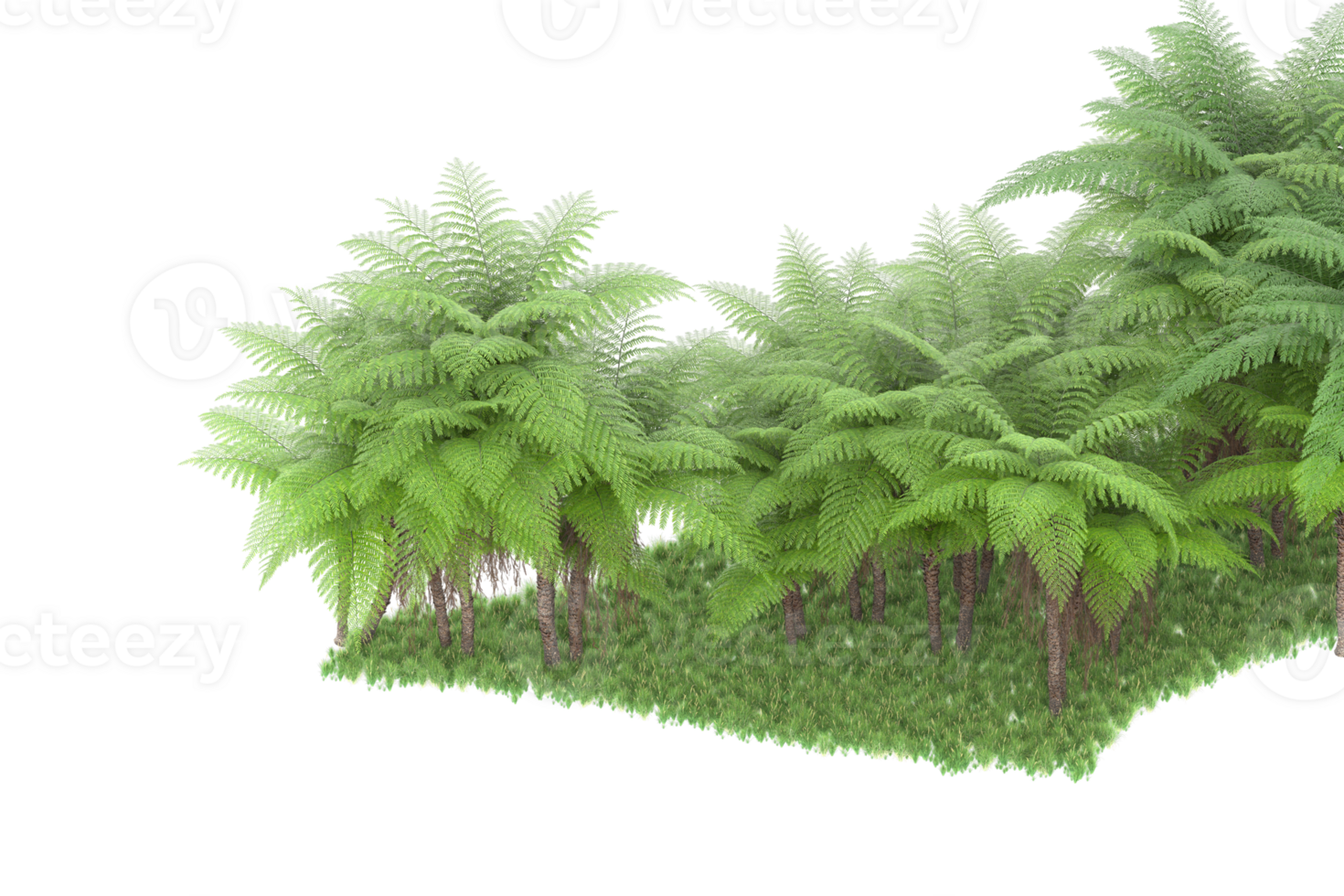 Realistic forest isolated on transparent background. 3d rendering - illustration png