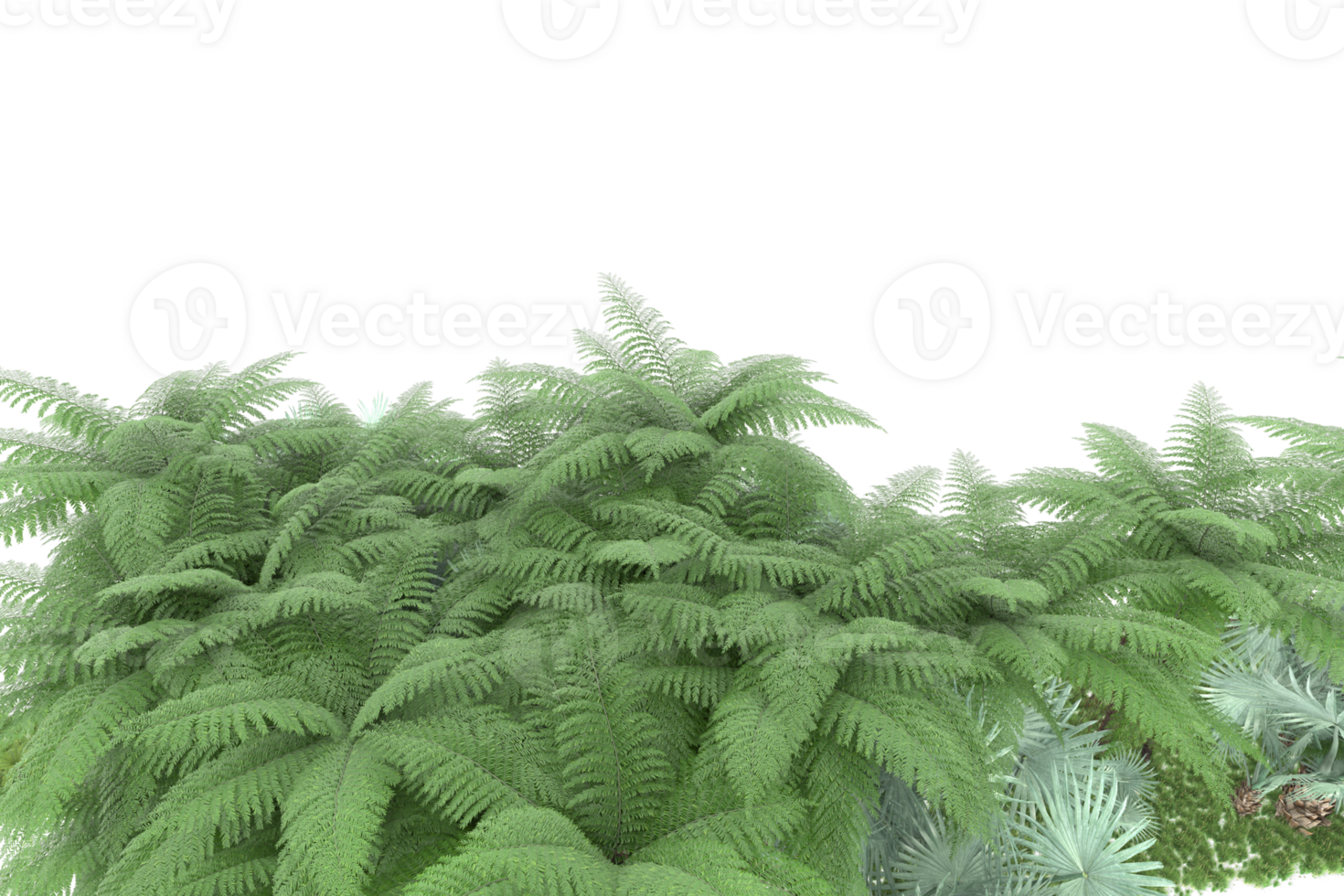 Realistic forest isolated on transparent background. 3d rendering - illustration png