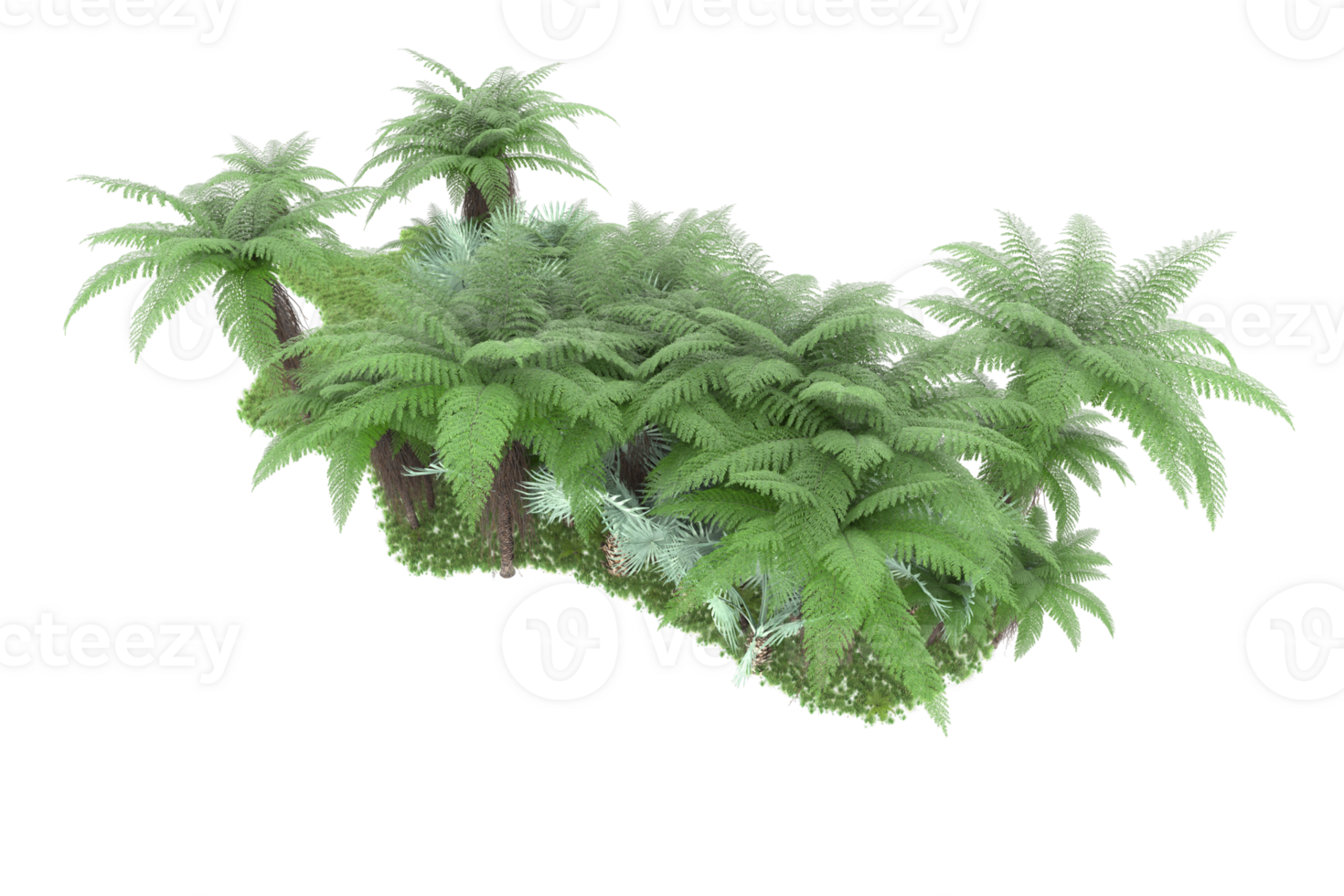Realistic forest isolated on transparent background. 3d rendering - illustration png