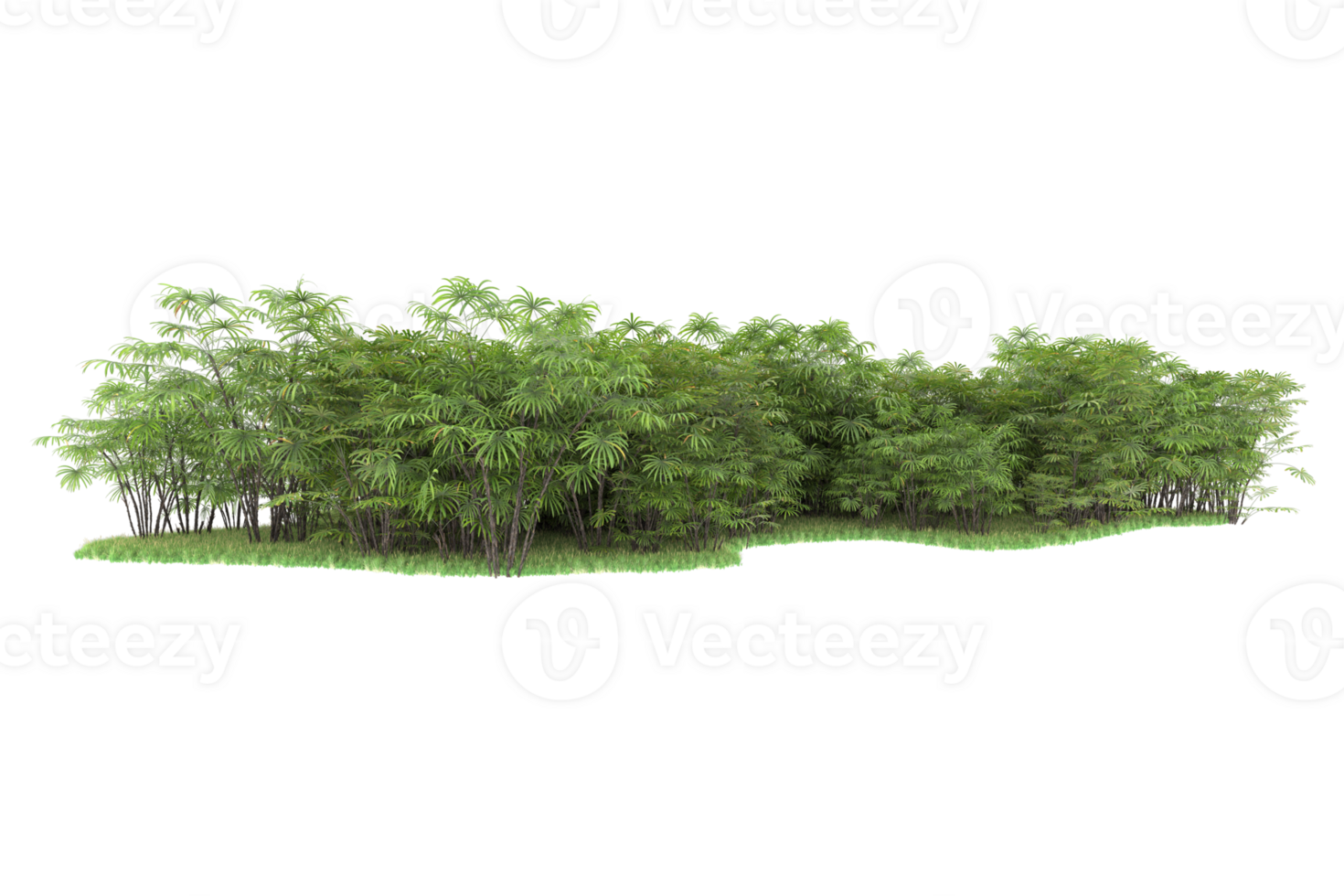 Realistic forest isolated on transparent background. 3d rendering - illustration png