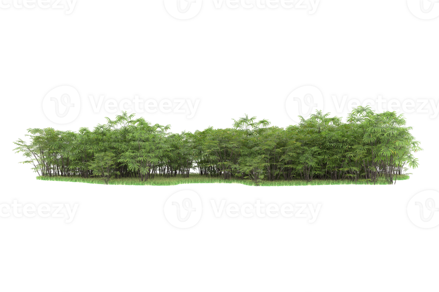 Realistic forest isolated on transparent background. 3d rendering - illustration png