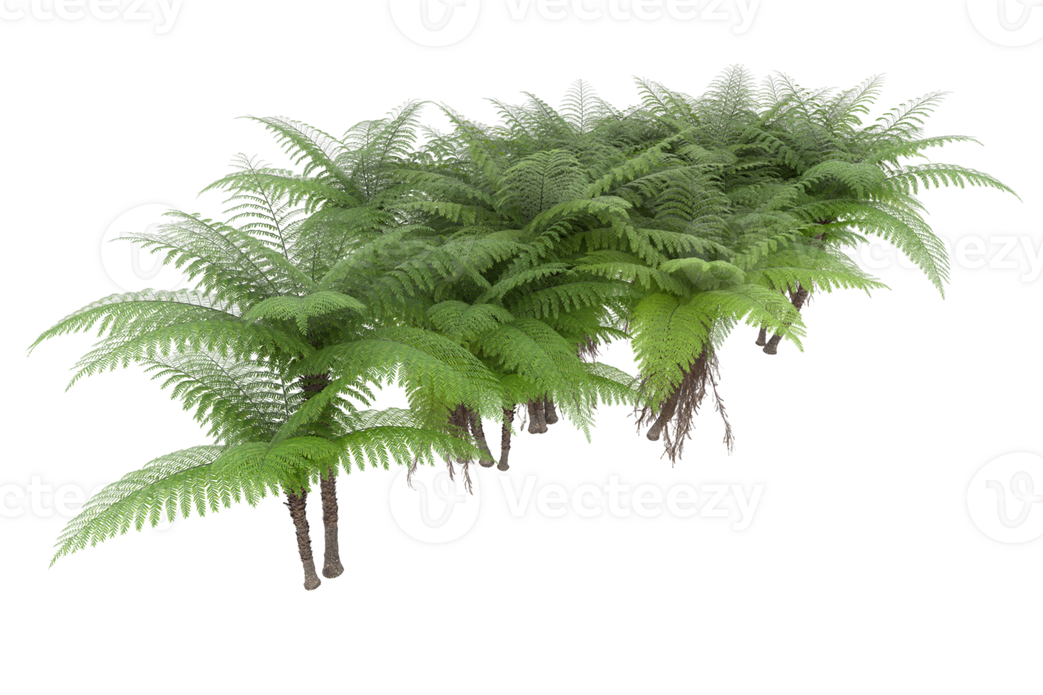 Realistic forest isolated on transparent background. 3d rendering - illustration png