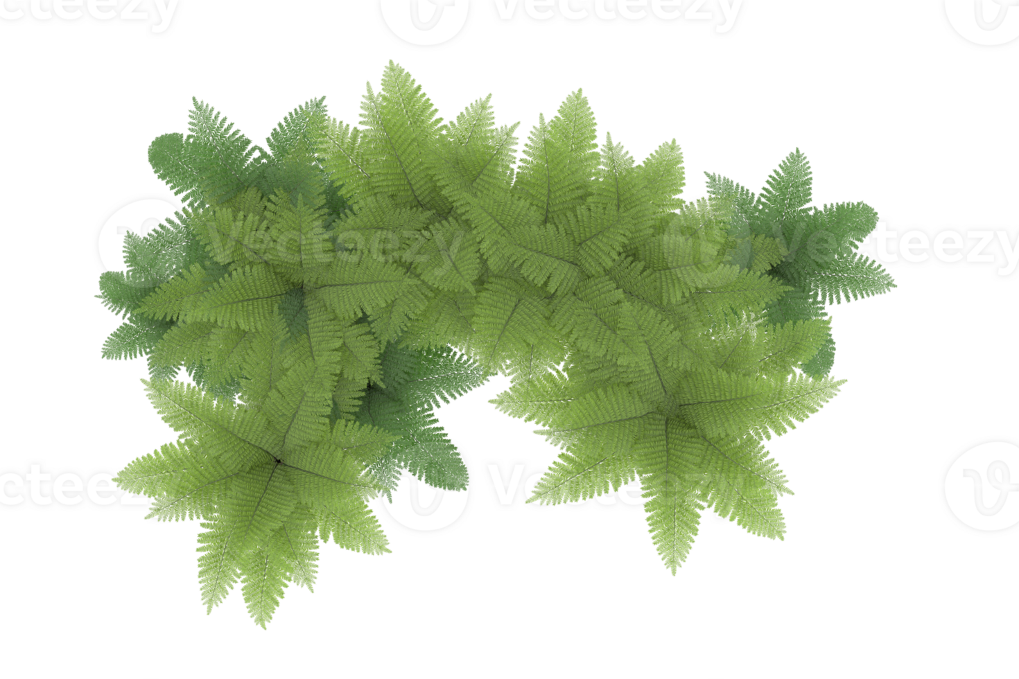 Realistic forest isolated on transparent background. 3d rendering - illustration png