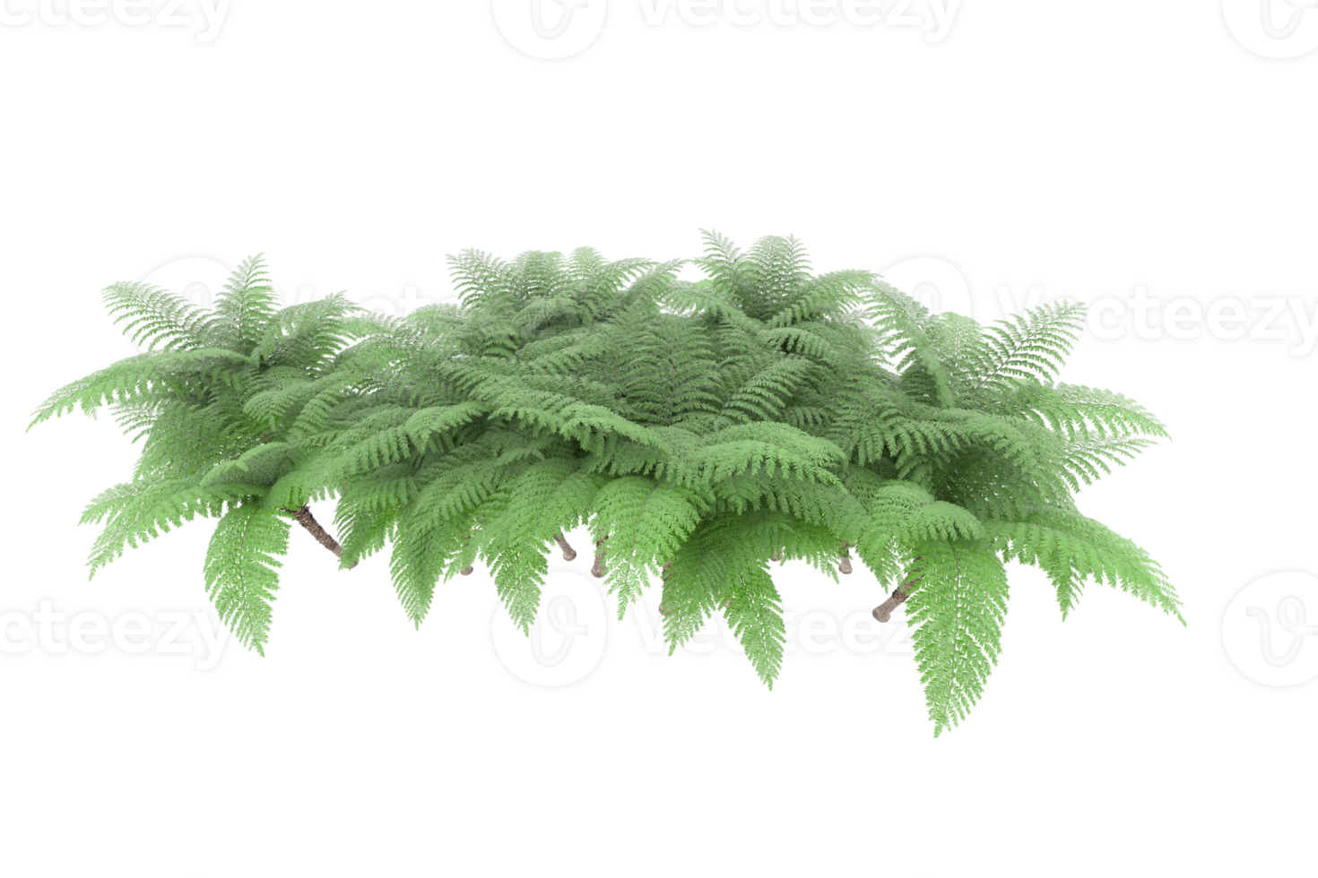 Realistic forest isolated on transparent background. 3d rendering - illustration png