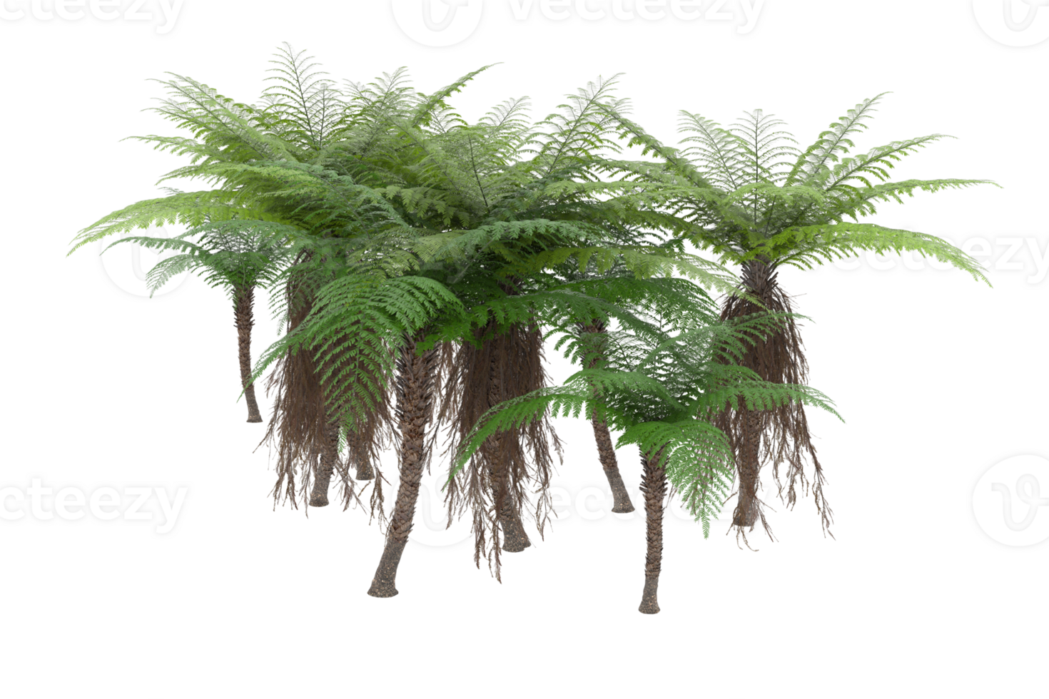 Realistic forest isolated on transparent background. 3d rendering - illustration png