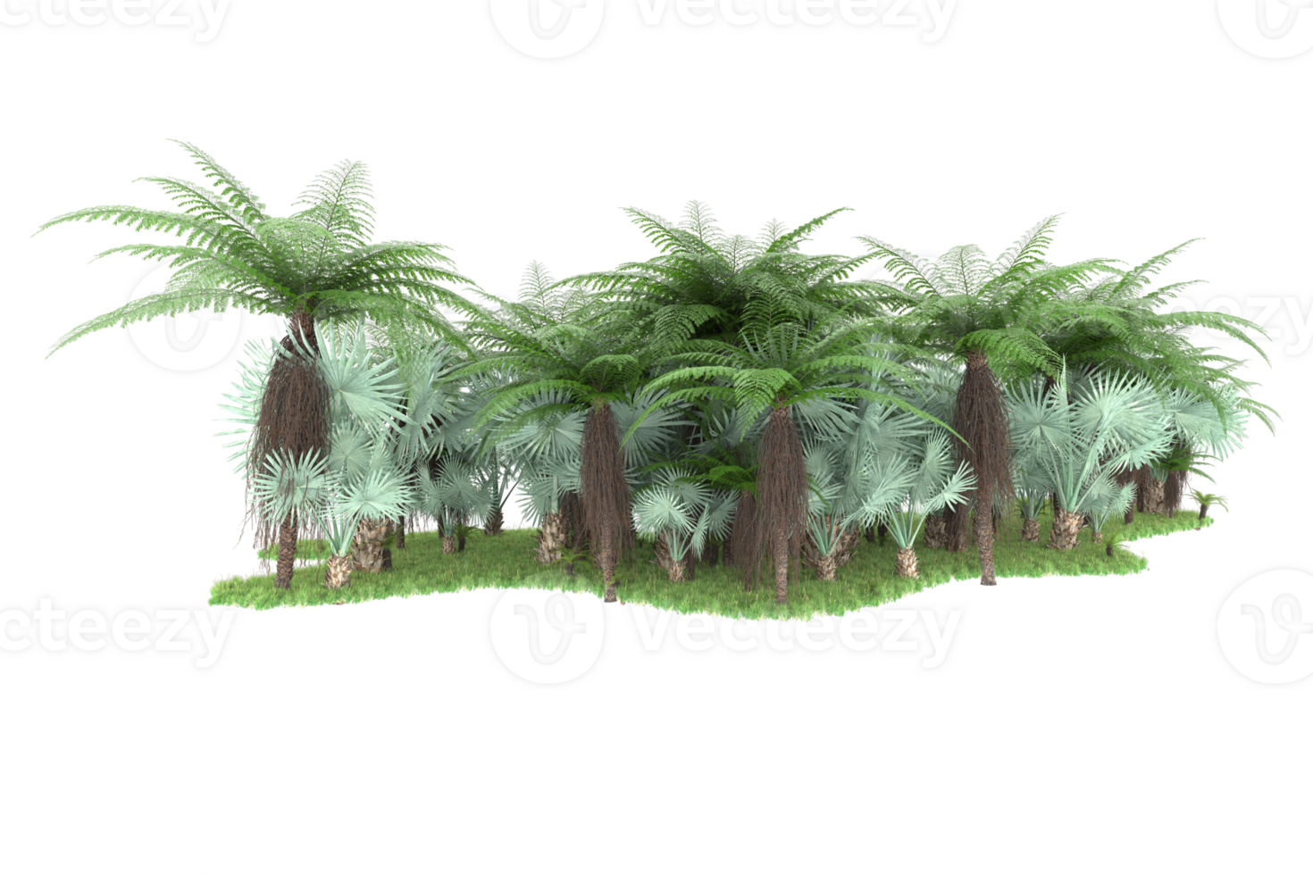 Realistic forest isolated on transparent background. 3d rendering - illustration png
