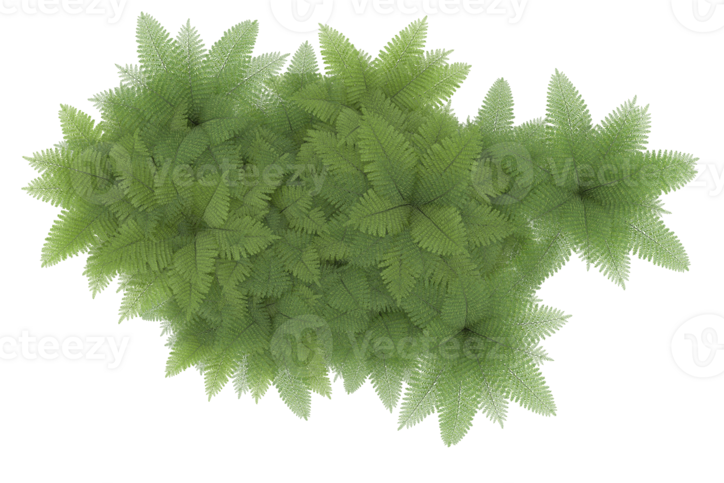 Realistic forest isolated on transparent background. 3d rendering - illustration png
