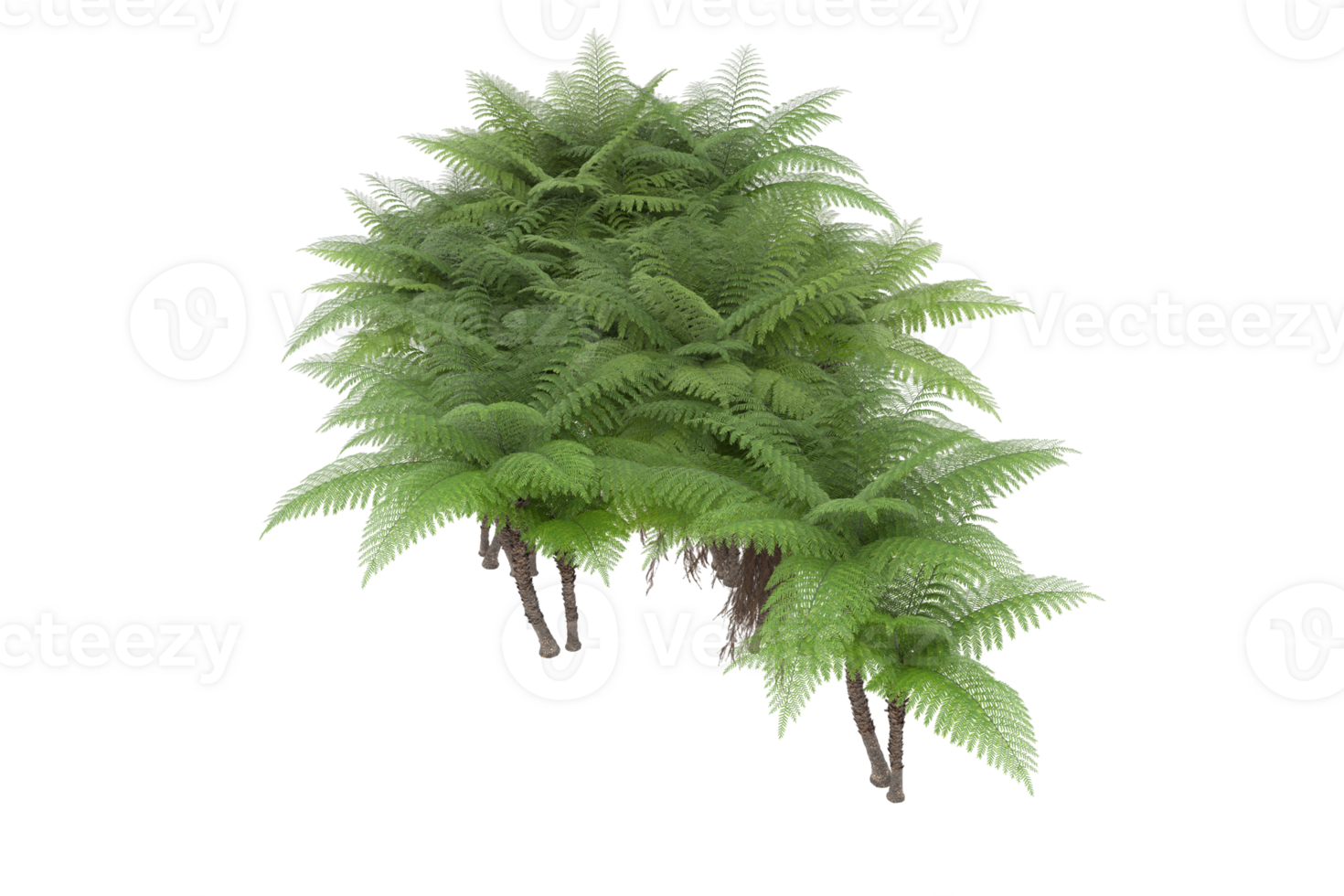 Realistic forest isolated on transparent background. 3d rendering - illustration png