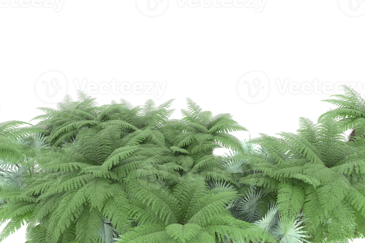 Realistic forest isolated on transparent background. 3d rendering - illustration png
