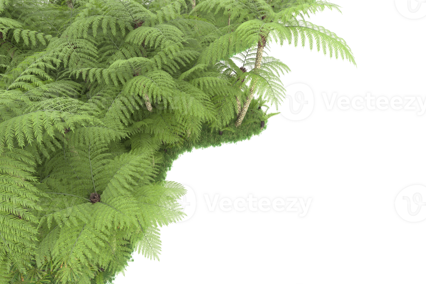 Realistic forest isolated on transparent background. 3d rendering - illustration png